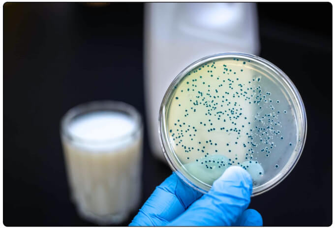 Milk Lab Image scaled